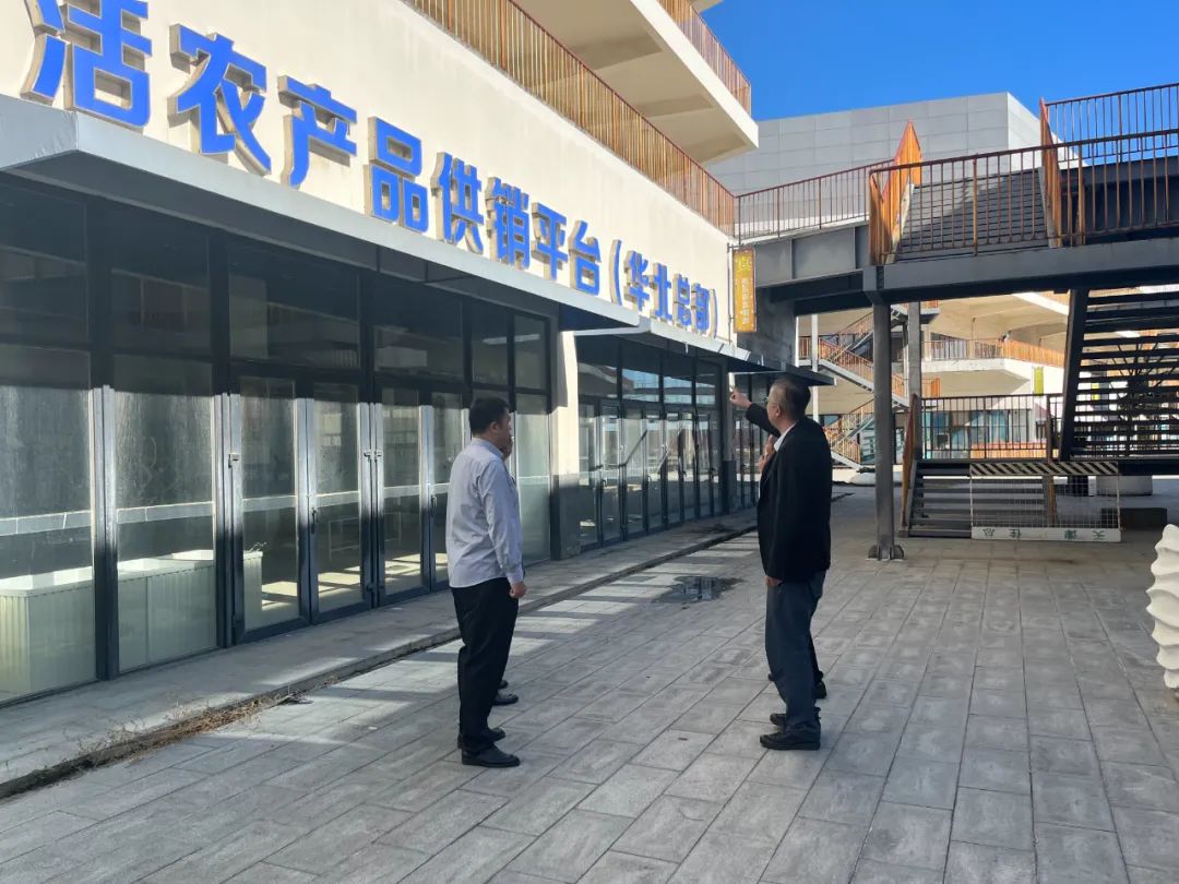图：工作组盘点大集茂项目现状